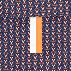 The UVA V-Sabre