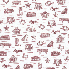 The Texas A&M College Town