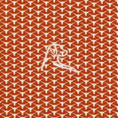 The Texas Horns