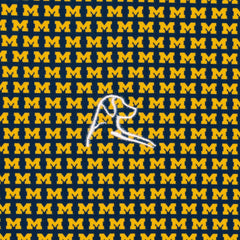 The Michigan Wolverines™