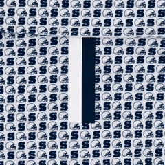 The Penn State Helmet
