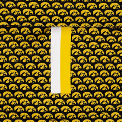 The Iowa Hawkeyes®