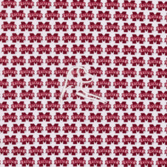 The Mississippi State Bulldogs™