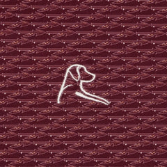 The Florida State Spear