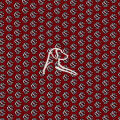 The South Carolina Gamecocks™