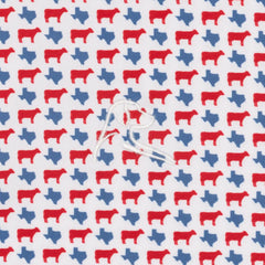 The Texas BBQ