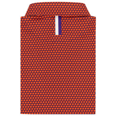 The Clemson Paw
