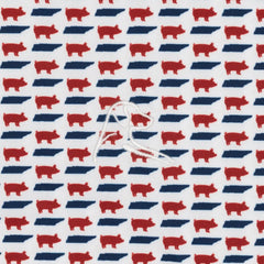 The Tennessee BBQ
