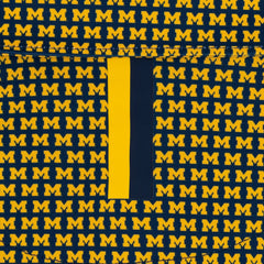 The Michigan Wolverines™