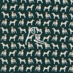 The Jack Russell